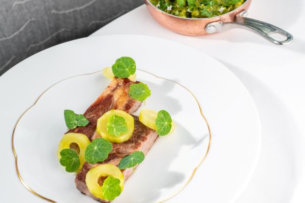 Mangalicatarja pörköltmártással, petrezselymes galuskával és uborkasalátával